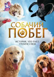 Собачий побег (2023)