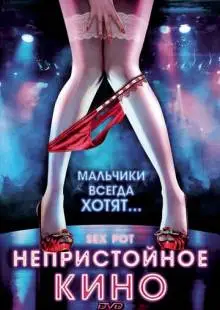 Непристойное кино (2009)