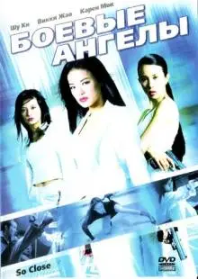 Боевые ангелы (2002)