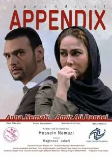 Appendix (2017)