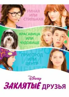Заклятые друзья (2012)
