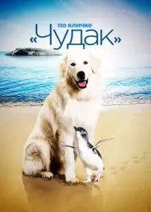 Чудак (2015)