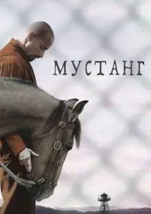 Мустанг (2017)