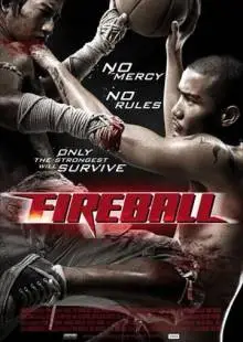 Файрбол (2009)