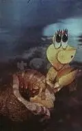 Отшельник и роза (1980)