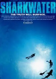 Акулы (2006)