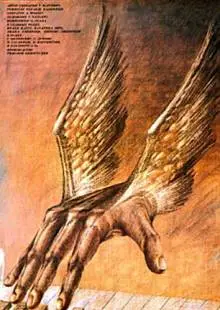 Тапер (1989)