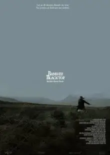 Баньши: история ирландских призраков (2016)