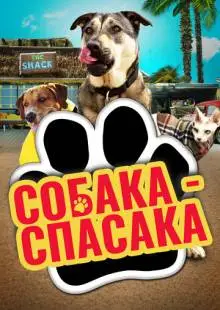 Собаки спешат на помощь (2016)