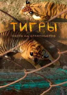 Тигры: Охота на браконьеров (2020)