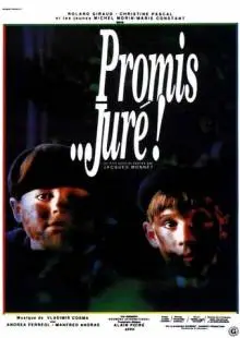 Клянусь… господин судья! (1987)