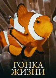 Гонка жизни (2015)