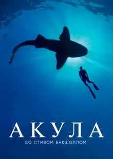 Акула со Стивом Бакшоллом (2021)