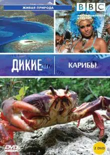 BBC: Дикие Карибы (2007)