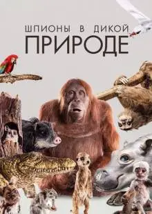 Шпионы в дикой природе (2017)