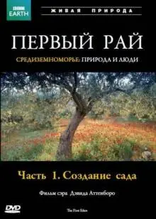 Первый Рай (1987)