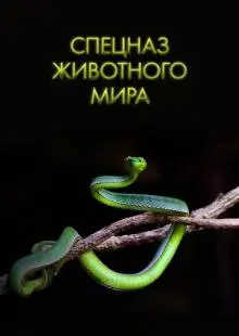 Спецназ животного мира (2018)