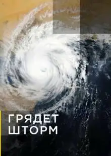 Грядет шторм (2020)