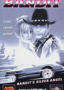Серебряный ангел бандита (1994)