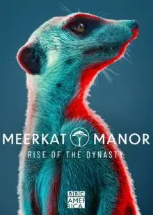 Meerkat Manor: Rise of the Dynasty (2021)