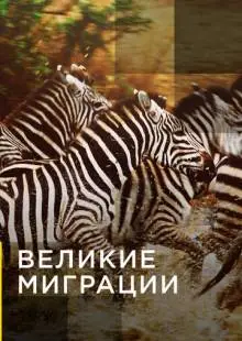 Великие миграции (2010)