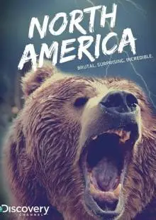 Discovery: Северная Америка (2013)