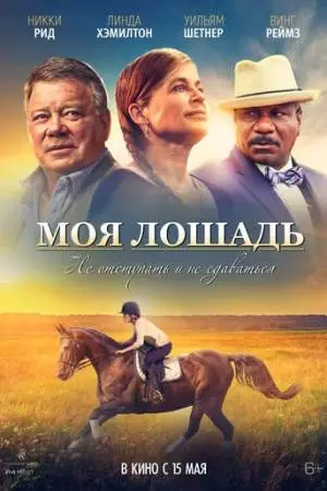 Моя лошадь / Воскресная лошадь (2016)