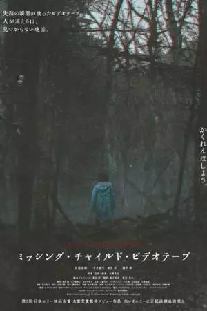 Видеозапись исчезновения ребёнка (2024)