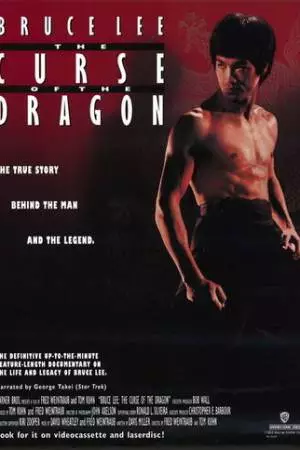 Проклятье дракона (1993)