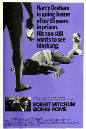 Иди домой (1971)