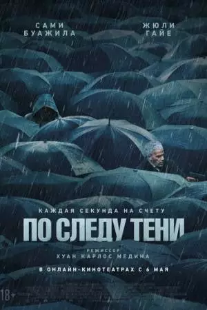 По следу тени (2024)
