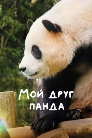 Мой друг панда (2024)