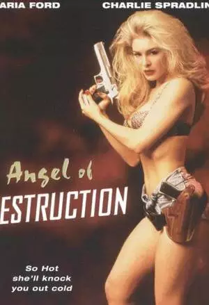 Ангел разрушения (1994)