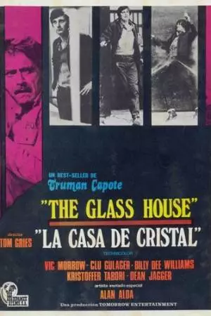 Стеклянный дом (1972)