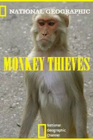 Обезьяны-воришки (2008)