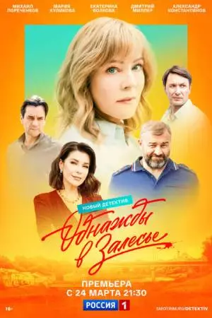 Однажды в Залесье (2024)