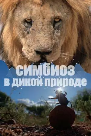 Симбиоз в дикой природе (2023)