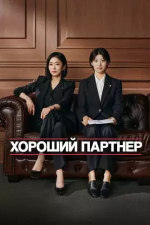 Хороший партнёр (2024)