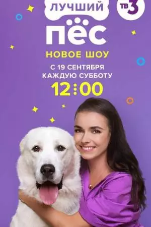 Лучший пес (2020)