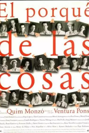 Положение вещей (1995)