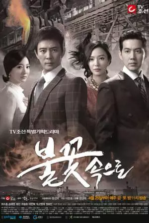 В пламени (2014)