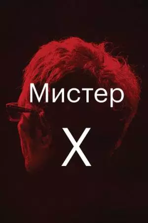 Мистер Икс (2014)