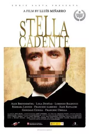 Падающая звезда (2014)