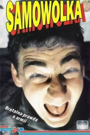 Самоволка (1993)