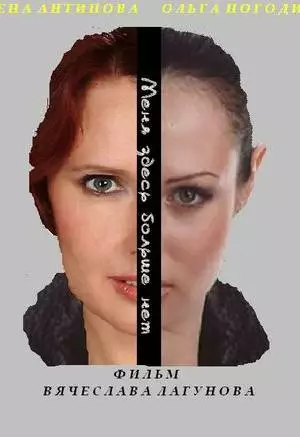 Меня здесь больше нет (2013)