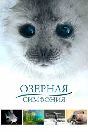 Озерная симфония (2016)