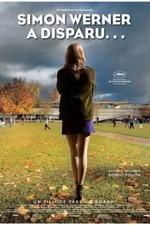 Симон Вернер исчез... (2010)