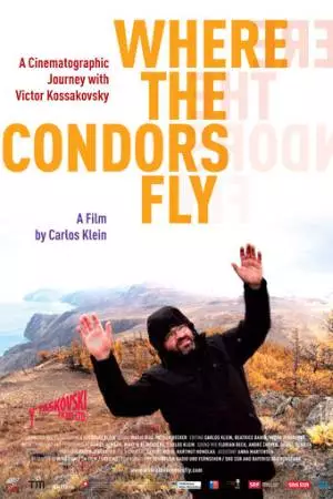 Там, где летают кондоры (2012)