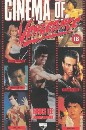 Кино мести (1993)