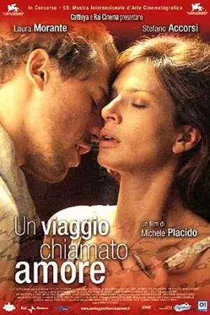 Путешествие под названием любовь (2002)